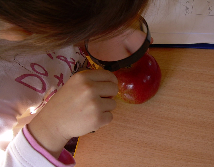 Szkolenie Mali Badacze